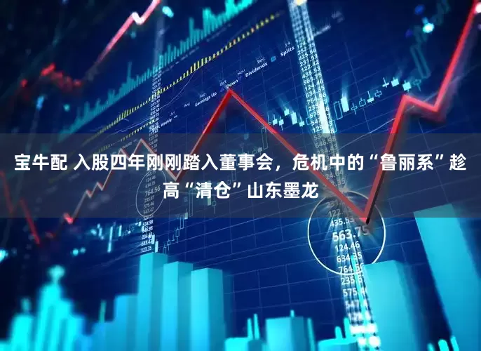 宝牛配 入股四年刚刚踏入董事会，危机中的“鲁丽系”趁高“清仓”山东墨龙