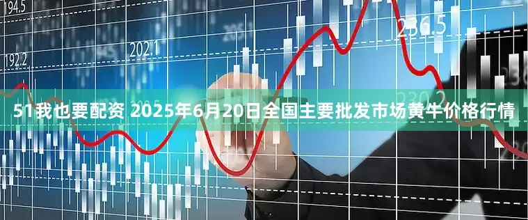 51我也要配资 2025年6月20日全国主要批发市场黄牛价格行情